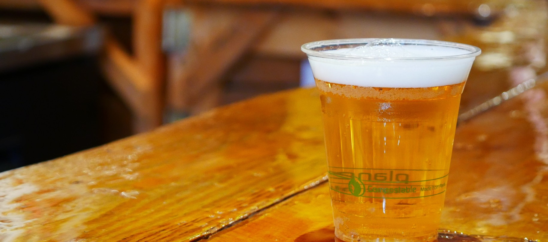 Surfing Pig Tap Room