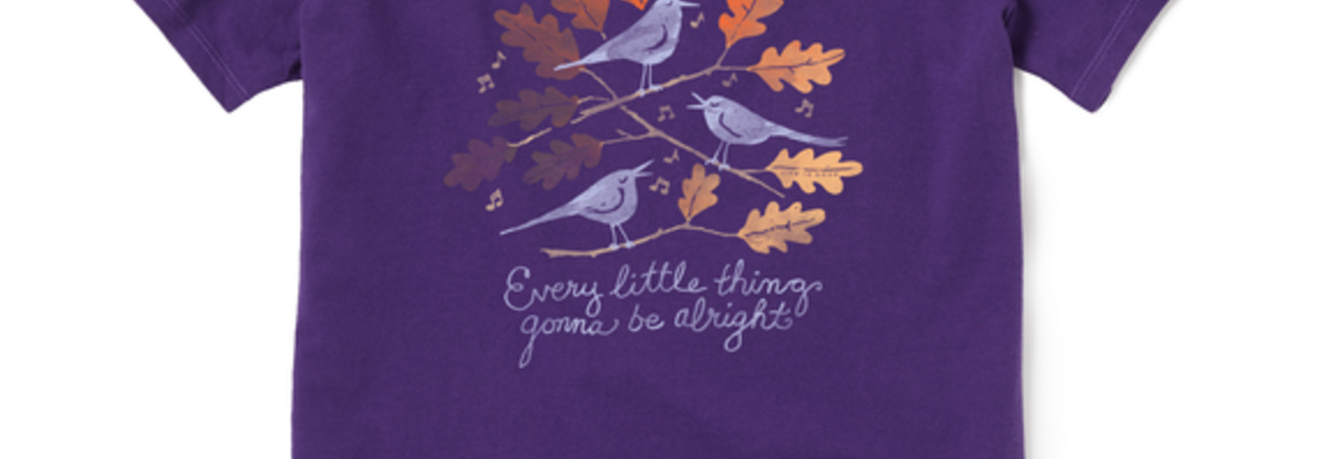 W's Every Little Thing Fall Leaves Short Sleeve Tee, Deep Purple