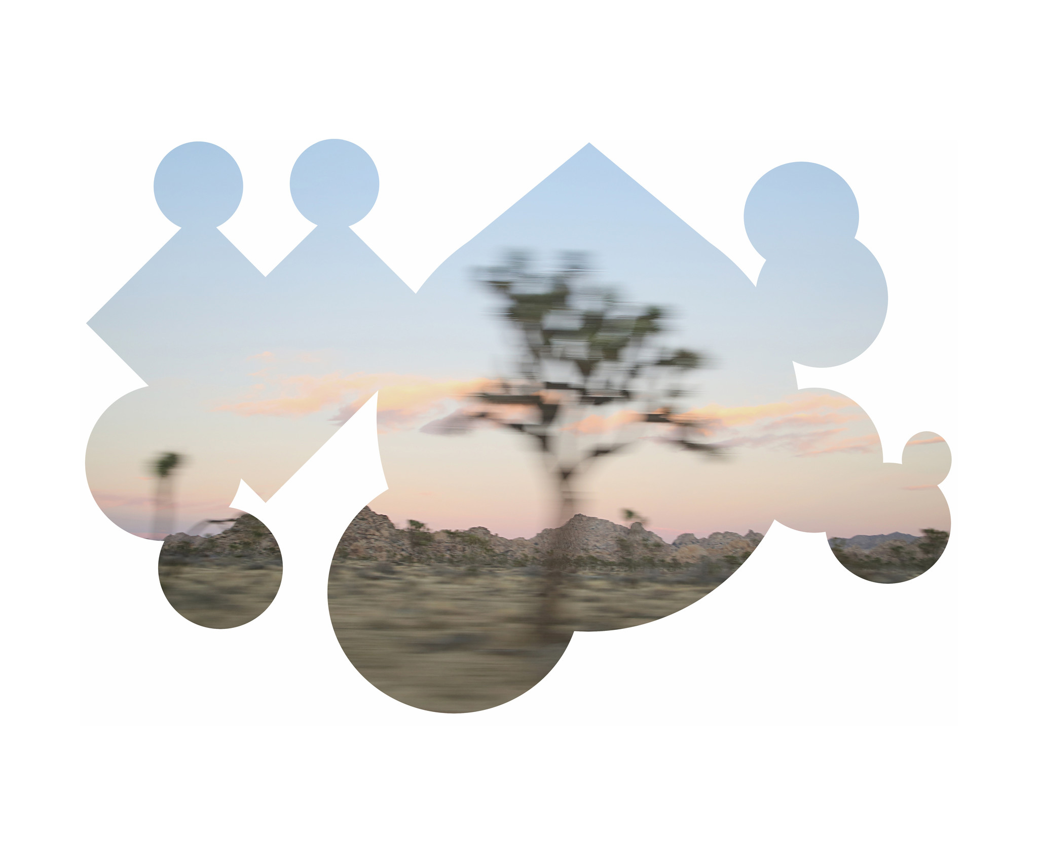 Benjy Russell portal/joshua tree #1