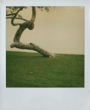 Benjy Russell Beauty in the mundane