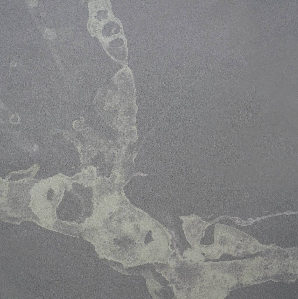 Calico Wallpaper Calico Wallpaper, Microcosmos