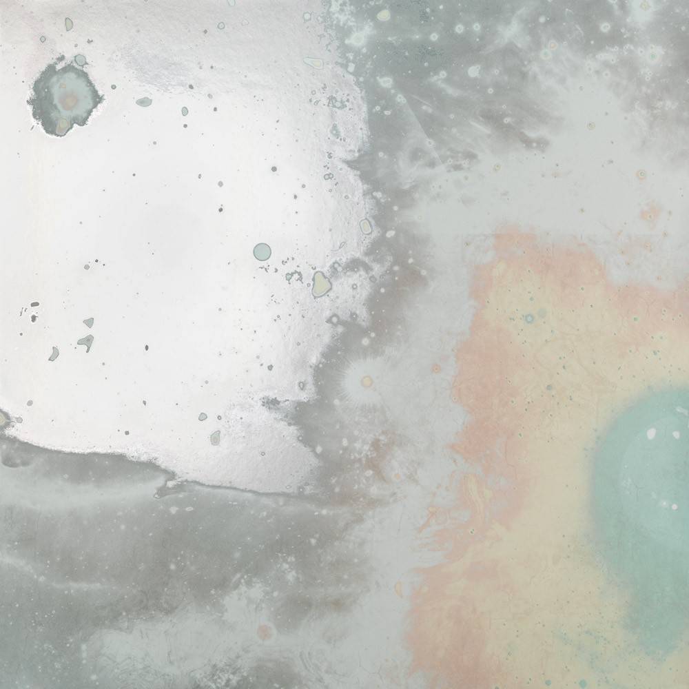 Calico Calico Wallpaper - Inverted Spaces