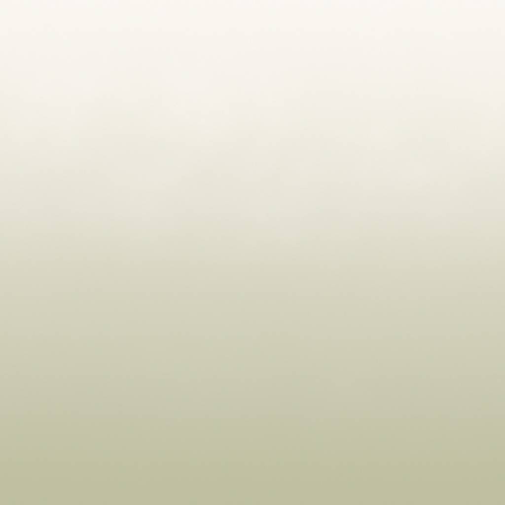 Calico Calico Wallpaper - Aurora