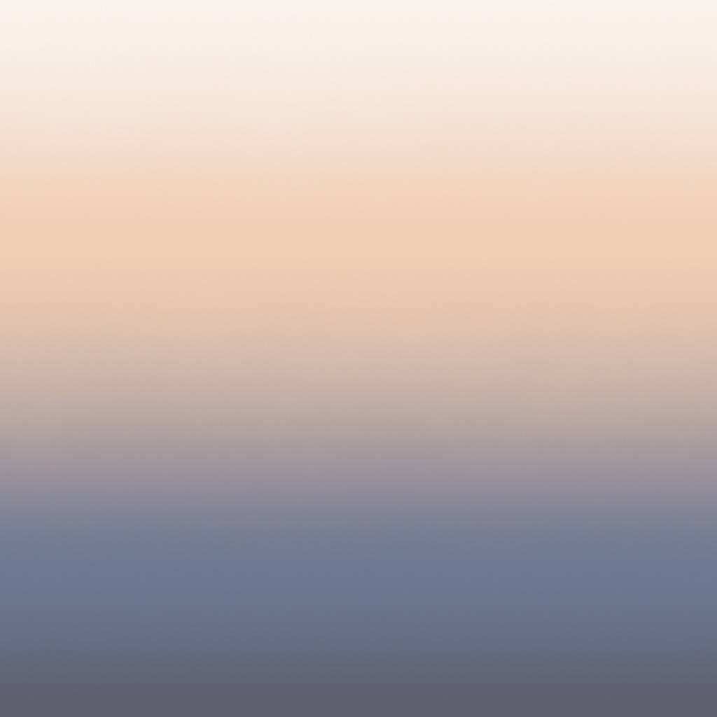 Calico Calico Wallpaper - Aurora