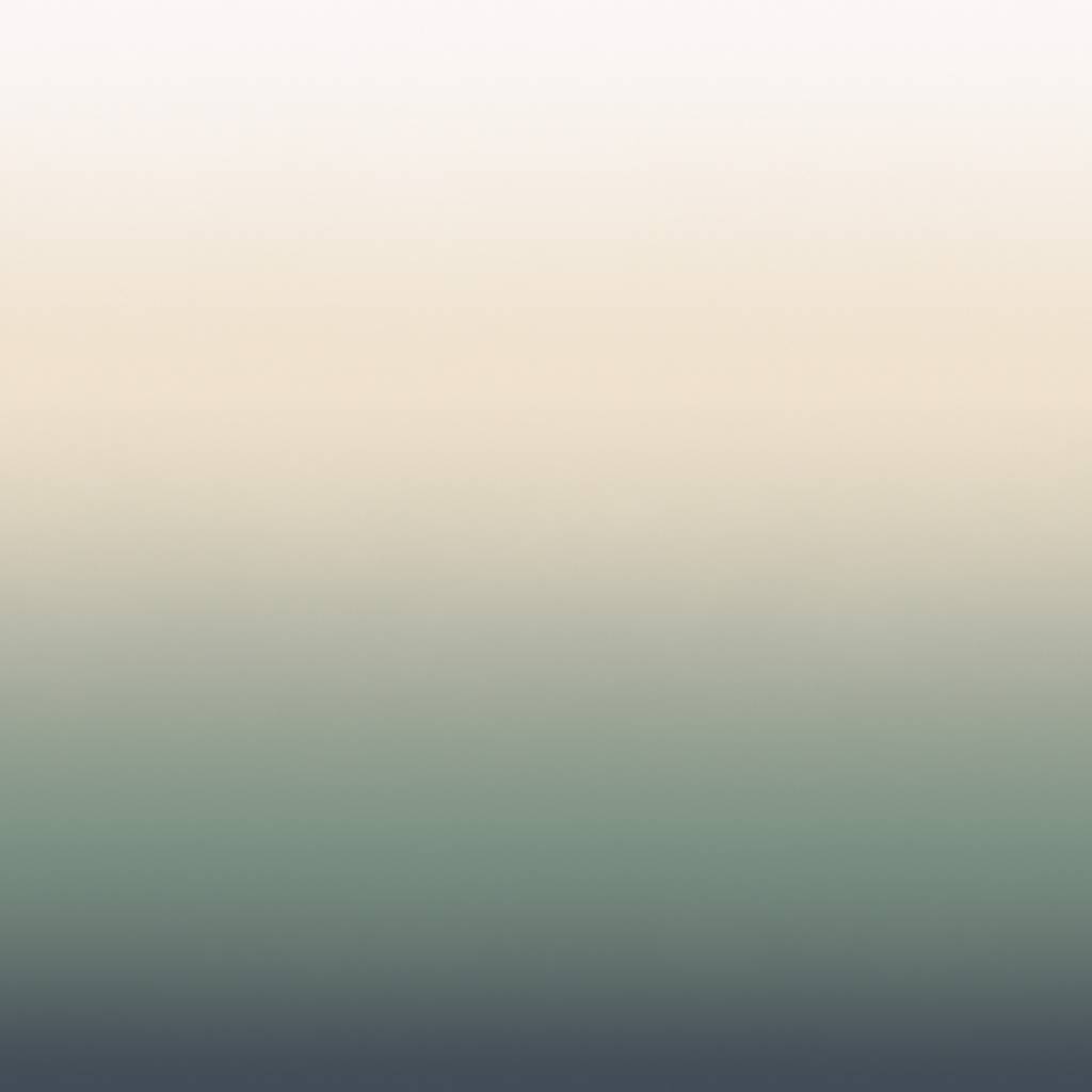 Calico Calico Wallpaper - Aurora