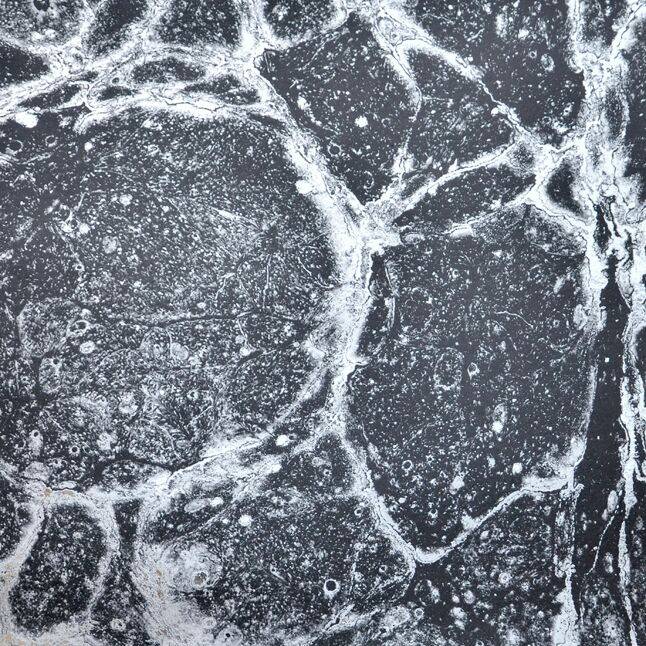 Calico Wallpaper Calico Wallpaper - Calico Collection