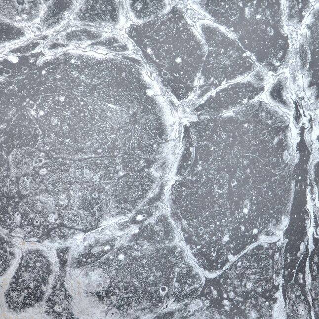 Calico Wallpaper Calico Wallpaper - Calico Collection
