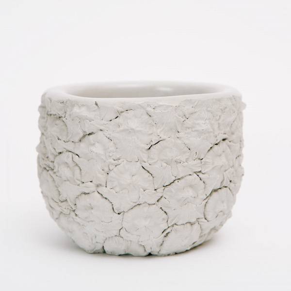 Chen & Kai Stone Fruit Planter