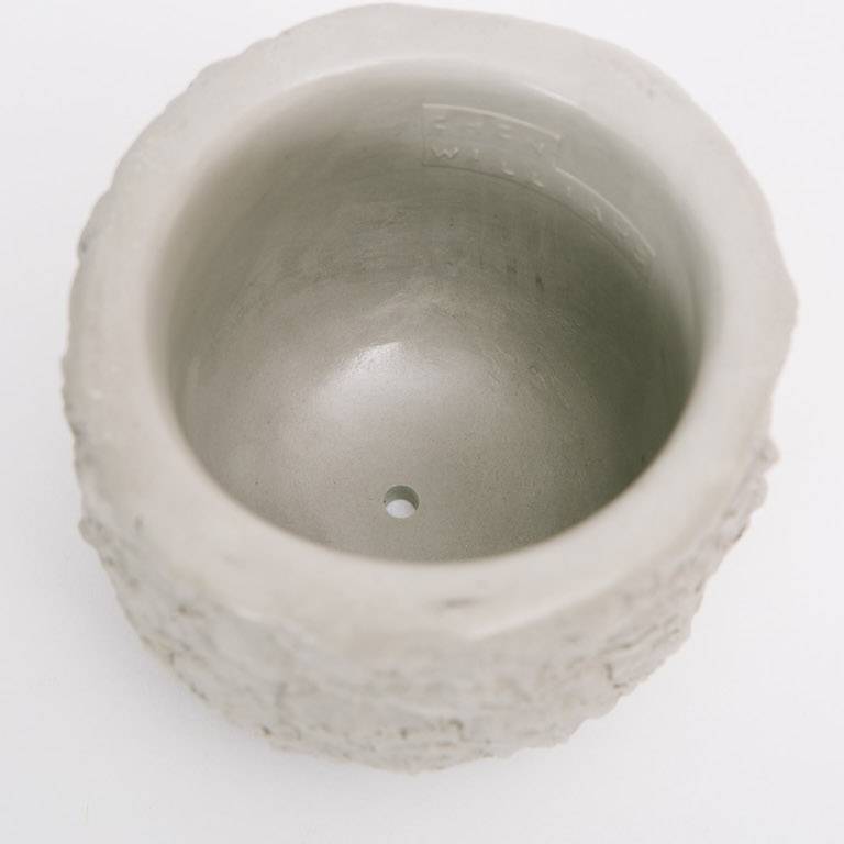 Chen & Kai Stone Fruit Planter