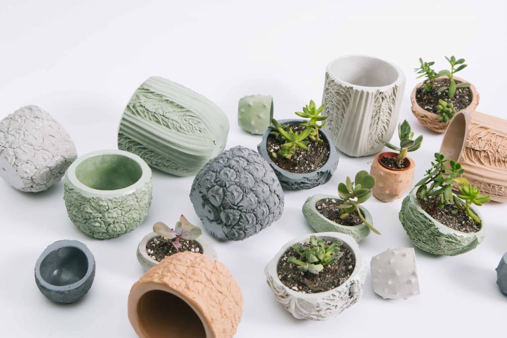 Chen & Kai Stone Fruit Planter
