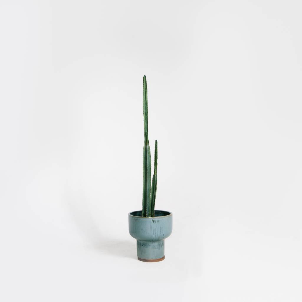 Modernica Mushroom Planter