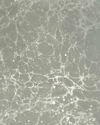 Calico Wallpaper Calico Wallpaper - Lunaris