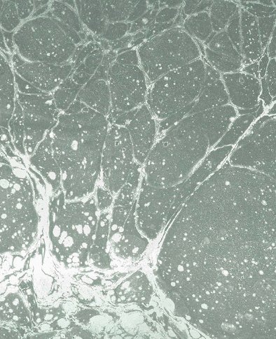 Calico Wallpaper Calico Wallpaper - Lunaris