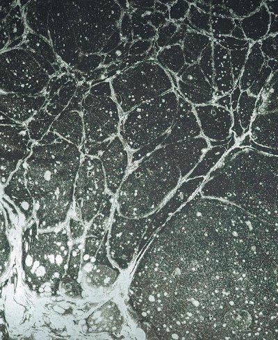 Calico Wallpaper Calico Wallpaper - Lunaris