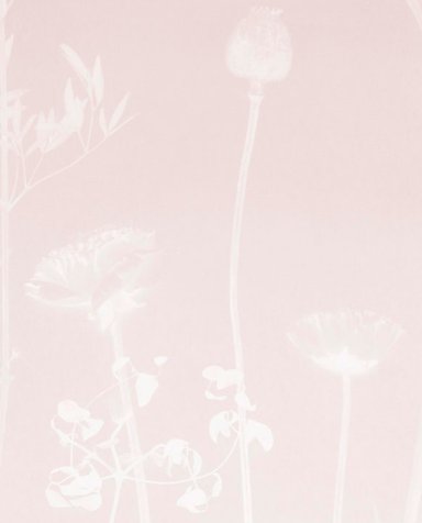 Calico Wallpaper Calico Wallpaper - Flora