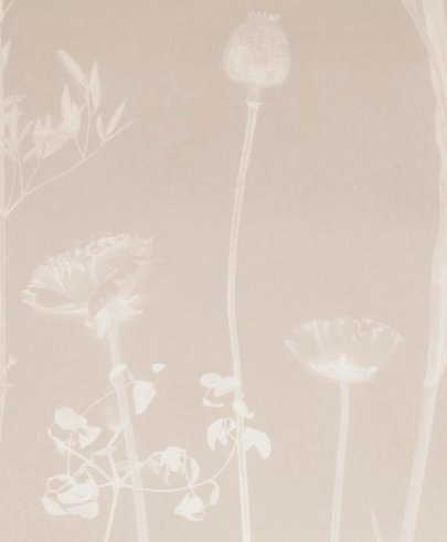 Calico Wallpaper Calico Wallpaper - Flora