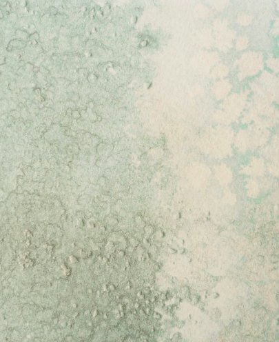 Calico Calico Wallpaper - Oceania