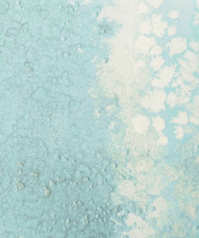 Calico Calico Wallpaper - Oceania