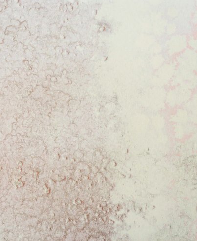 Calico Wallpaper Calico Wallpaper - Oceania