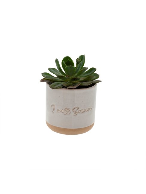 INDABA CACHE-POT - I WILL SURVIVE