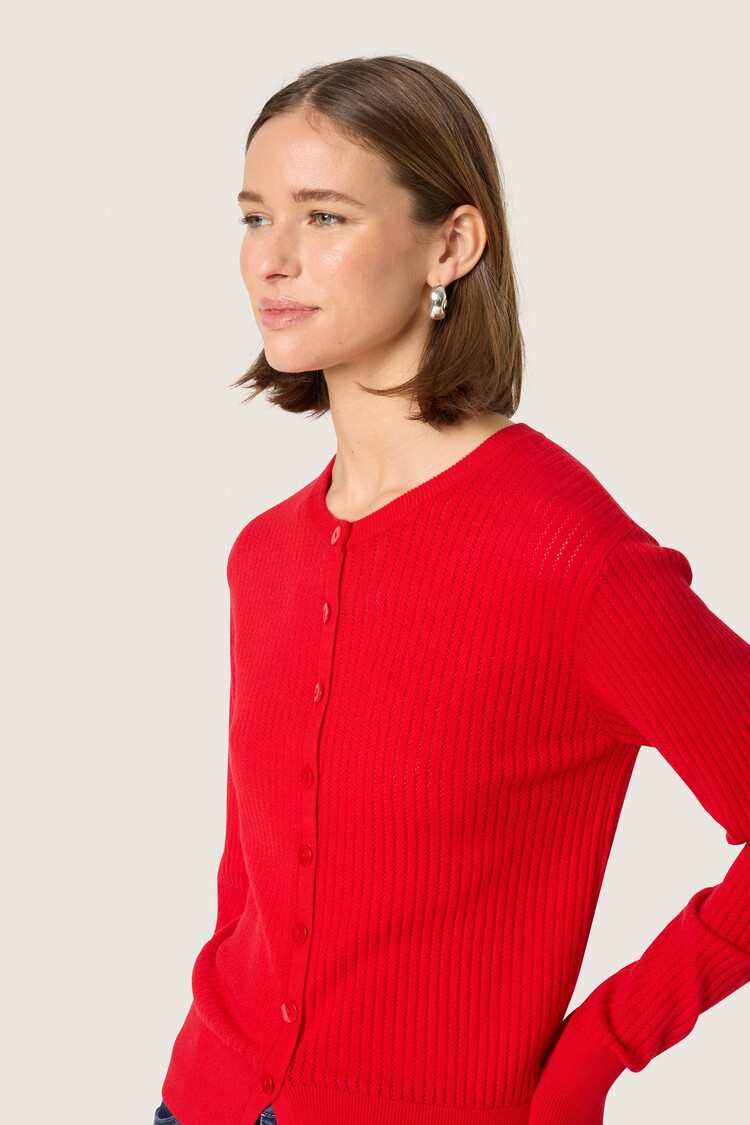 SOAKED IN LUXURY CARDIGAN SPINA - GOJI BERRY