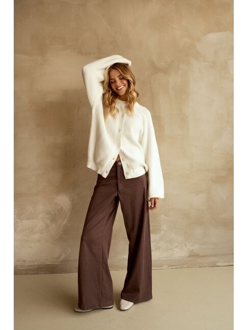 DAILYSTORY PANTALON HARPER - BROWN
