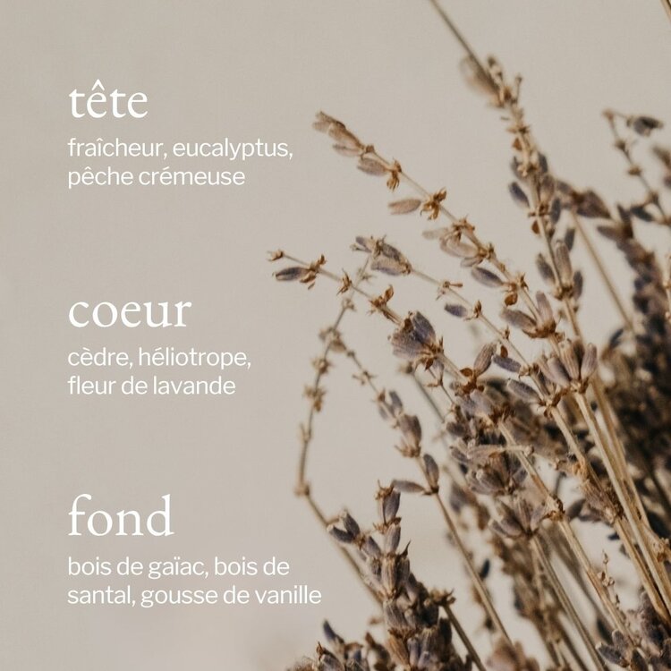 SOJA & CO CHANDELLE LAVANDE, BOIS DE SANTAL & VANILLE - 4 OZ