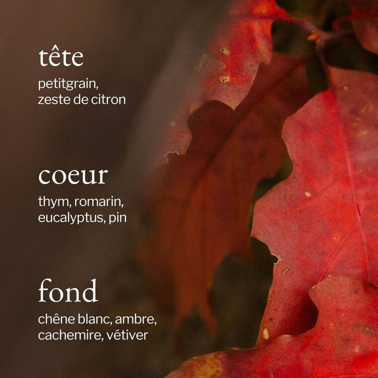 SOJA & CO DIFFUSEUR À ROSEAUX - AMBRE & CHÊNE