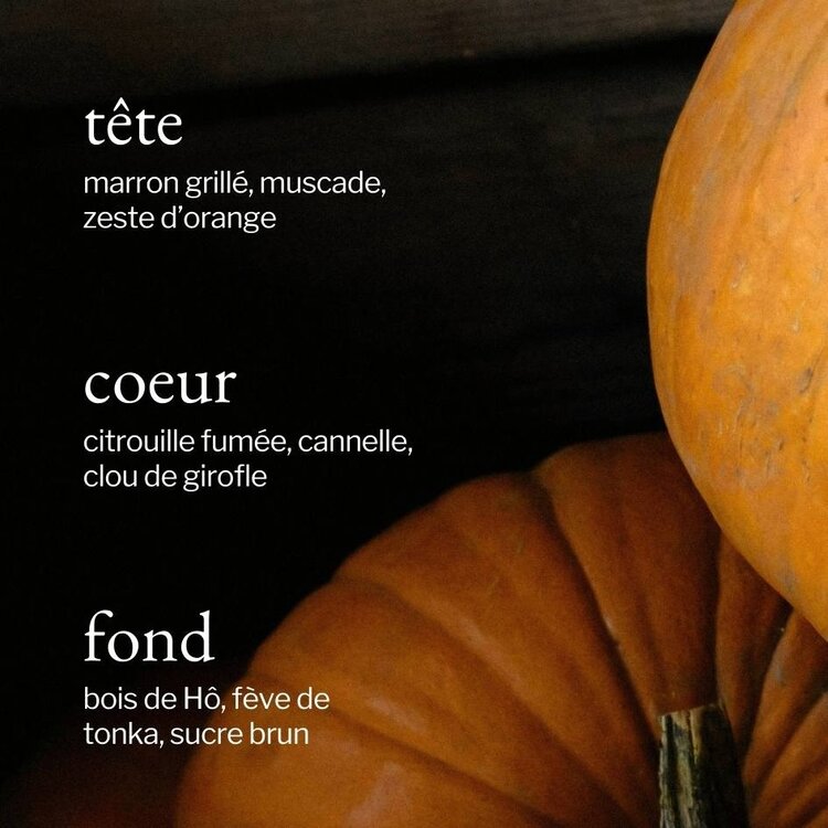 SOJA & CO CHANDELLE - BOIS DE HÔ & CITROUILLE - 8 OZ