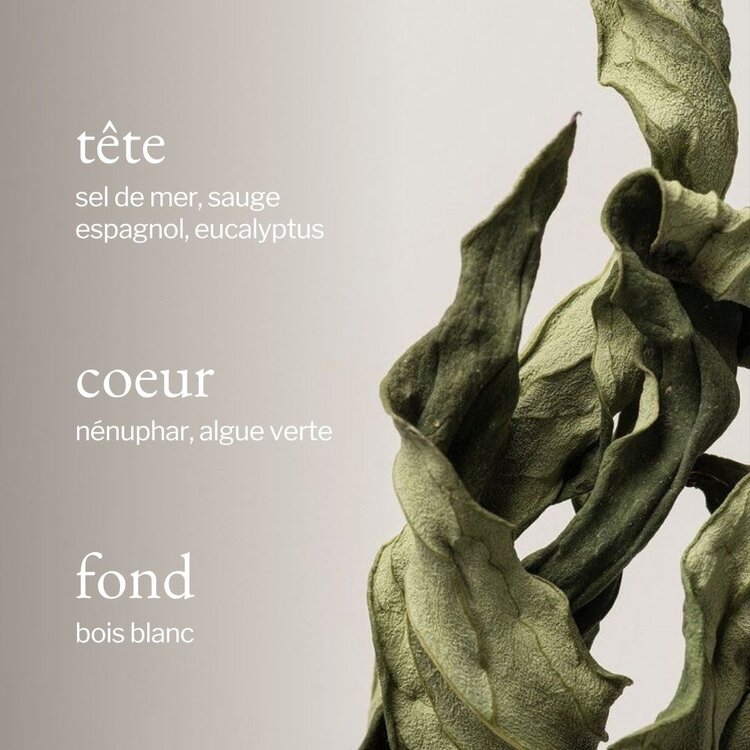 SOJA & CO CHANDELLE SAUGE & SEL DE MER - 8 OZ