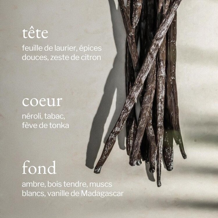 SOJA & CO CHANDELLE FÈVE DE TONKA, VANILLE & AMBRE BOISÉ - 8 OZ