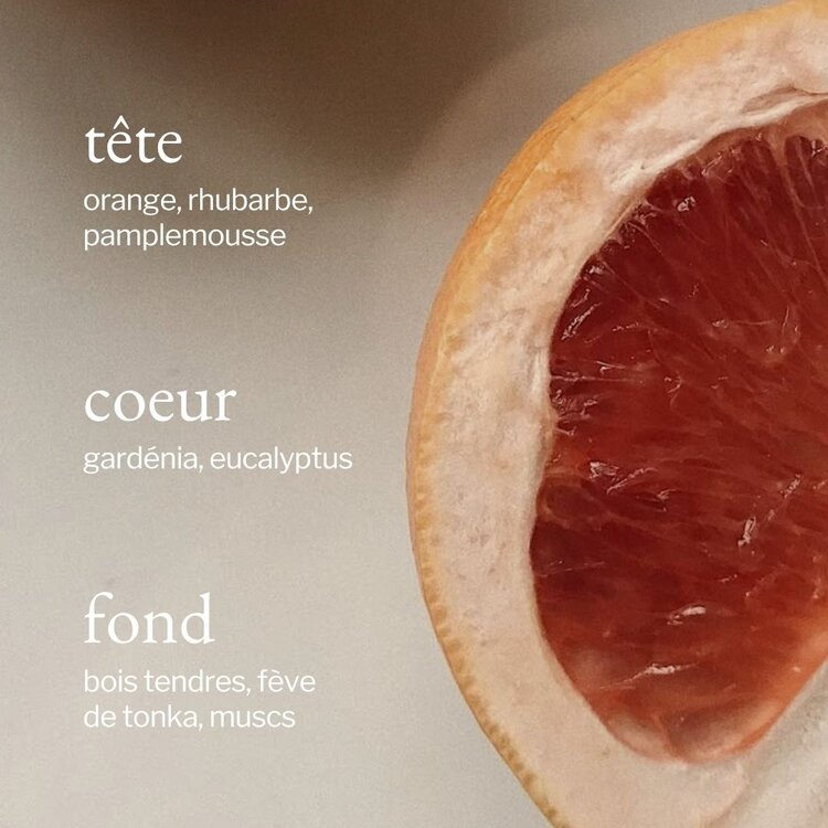 SOJA & CO DIFFUSEUR À ROSEAUX - EUCALYPTUS & PAMPLEMOUSSE