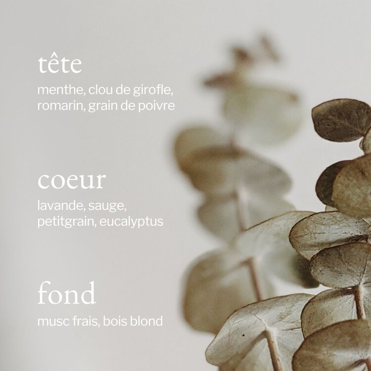 SOJA & CO SAVON À MAINS - EUCALYPTUS, MENTHE & ROMARIN