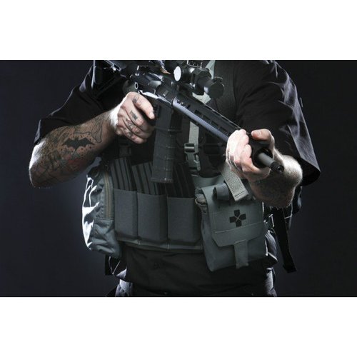 Blue Force Gear TEN SPEED Basic Load Chest Rig M4