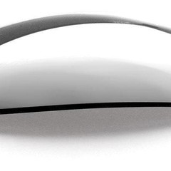 (+) PIVLOCK ECHO LENS - CLEAR