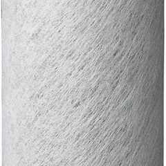 Camelbak LifeStraw Replacement ION Exchange Filter