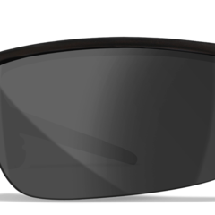 WILEY X SAINT Grey/Clear/Matte Black Frame