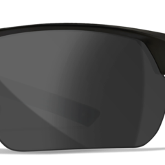 WILEY X GUARD Advanced Grey/Clear/Rust Matte Black