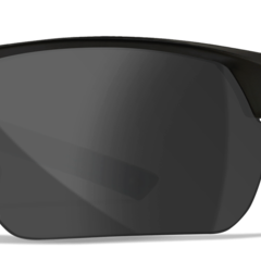 WILEY X GUARD Advanced Grey/Clear Lenses Matte Black Frame