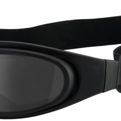 WILEY X SG-1 Grey/Clear/Matte Black Frame