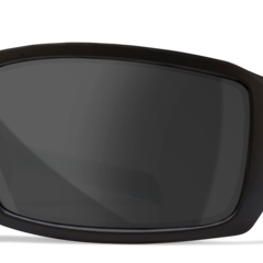 WILEY X TWISTED Grey Lens/Matte Black Frame