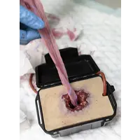 Techline Technologies GSW in a Box