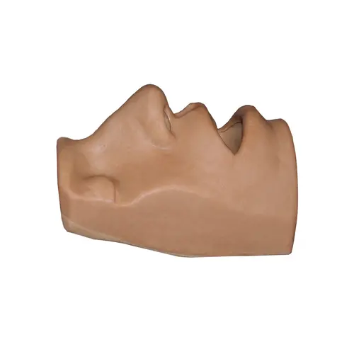Techline Technologies Nose in a Box