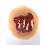 Techline Technologies Degloved Hand