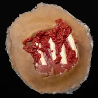 Techline Technologies Degloved Hand