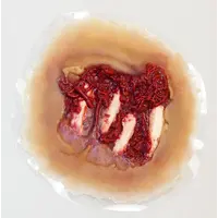 Techline Technologies Degloved Hand