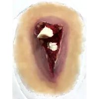 Techline Technologies Compound Fracture