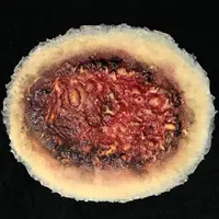 Techline Technologies Thermal Burn - Large