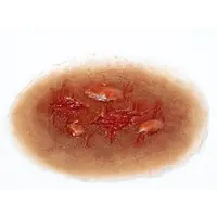 Techline Technologies Thermal Burn - Medium