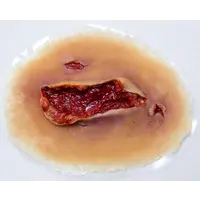 Techline Technologies Laceration - Large